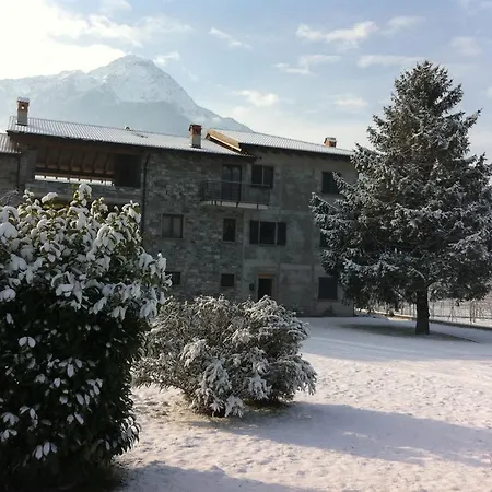 Zia Vivina B N Sorico